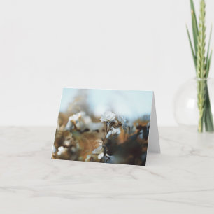 Dreamy White Garden Roses with Soft Vintage Bokeh Card