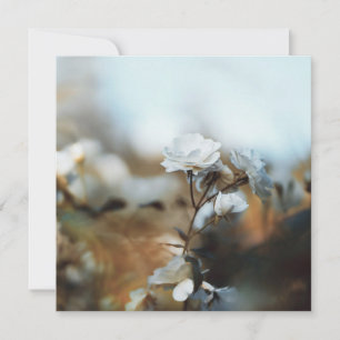 Dreamy White Garden Roses with Soft Vintage Bokeh Holiday Card