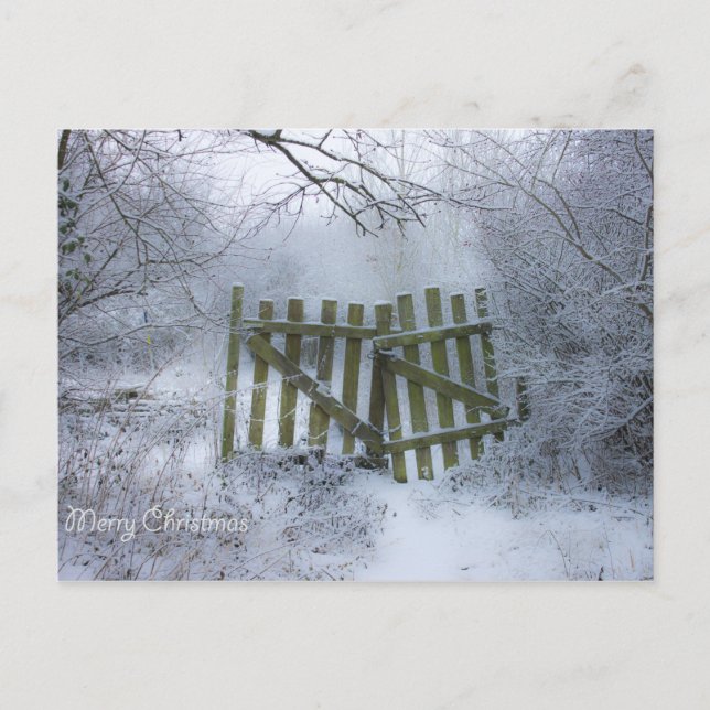 Dreamy winter wonderland postcard (Front)