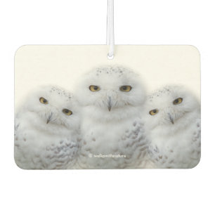 Dreamy Wisdom of Snowy Owls Car Air Freshener
