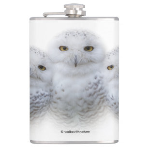 Dreamy Wisdom of Snowy Owls Family Hip Flask