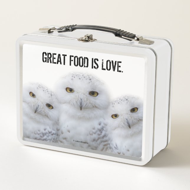 Dreamy Wisdom of Snowy Owls Family Metal Lunch Box (Front)