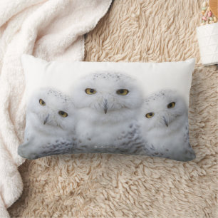 Dreamy Wisdom of Snowy Owls Lumbar Cushion