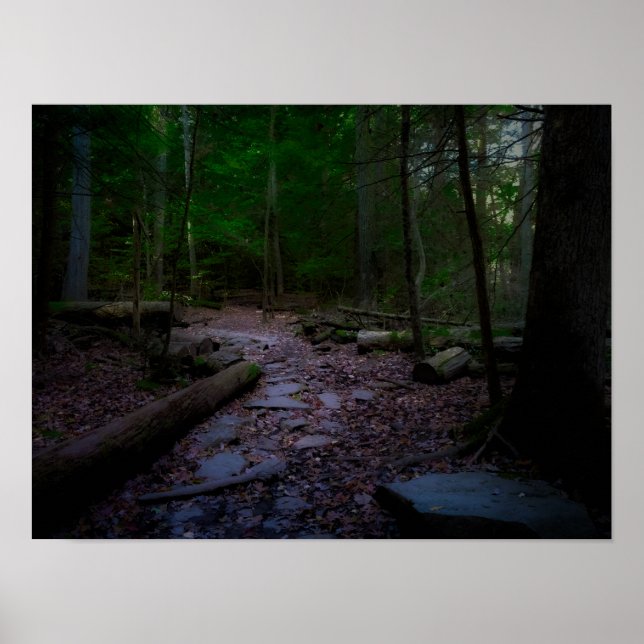 Dreamy Woodland with Rock Trail Poster (Front)