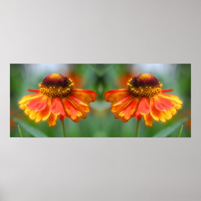 Dreamy Zinnia Flower Mirror Abstract Poster (Front)