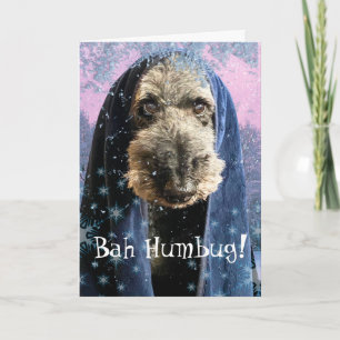 Dreary Christmas Bah Humbug Schnauzer  Card