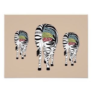 Drei Zebras  Photo Print