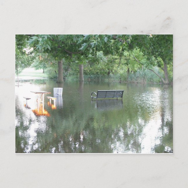 Drenched Bench Photo Postcard (Front)