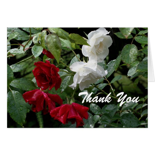 Drenched Roses Flower Thank You Card (Front Horizontal)