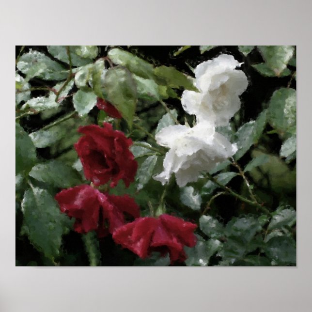 Drenched Roses Flower Watercolor Photo Painting Poster (Front)