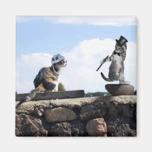 Dress to Impress & do a little Dance, too! Magnet