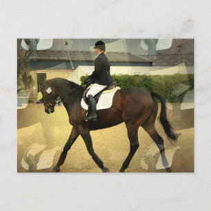 Dressage Competition Postcard