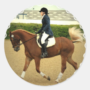 Dressage Extensions Stickers