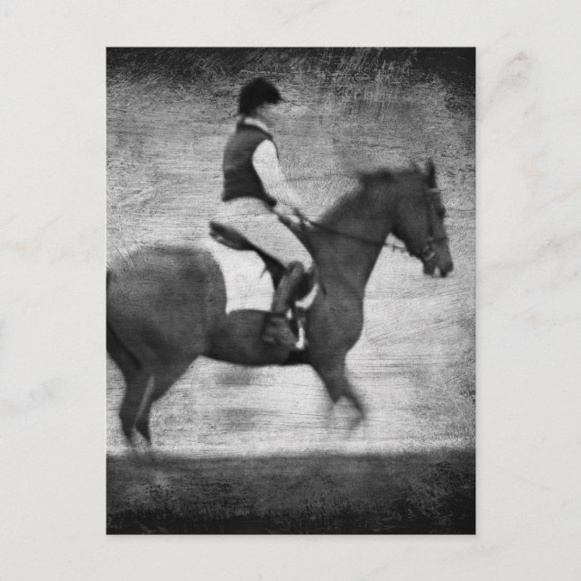 Dressage in Black and White Grunge Postcard (Front)