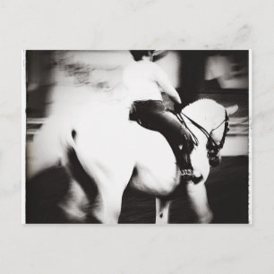 Dressage Postcard