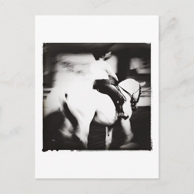 Dressage Postcard (Front)