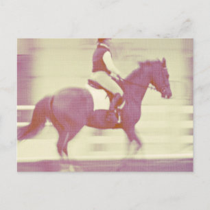 Dressage Postcard