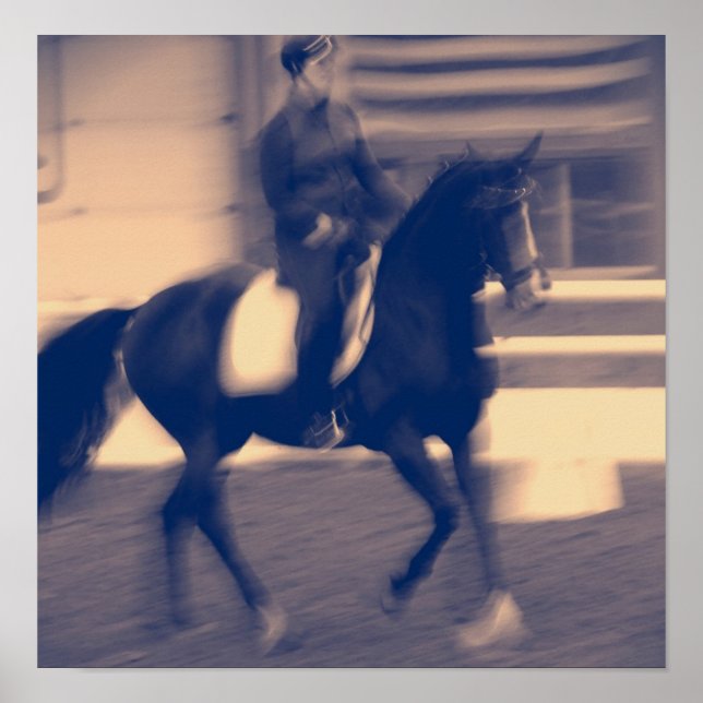 Dressage Poster (Front)