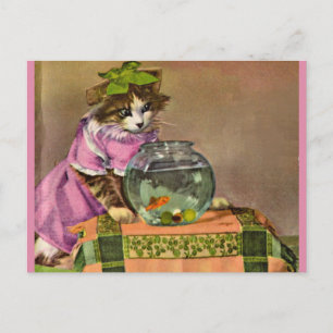 dressed cat and fish bowl postcard