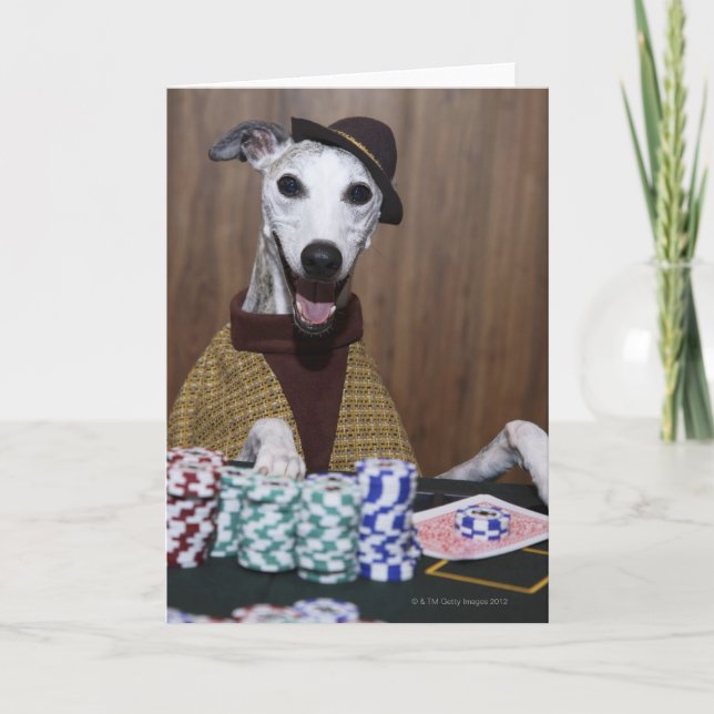 Dressed up Whippet dog at gambling table Card (Front)