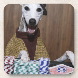 Dressed up Whippet dog at gambling table Coaster