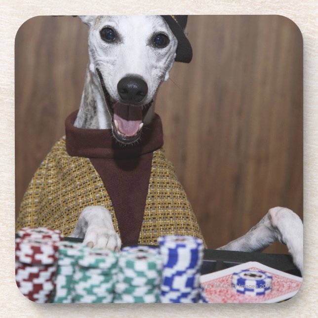 Dressed up Whippet dog at gambling table Coaster (Front)