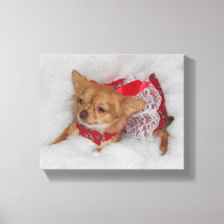 dressy chihuahua printprint canvas print