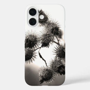 Dried burdock iPhone 16 case