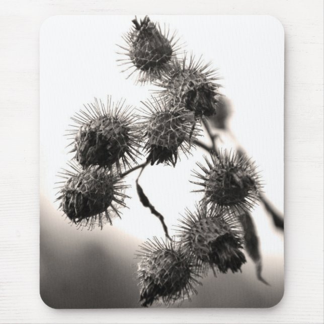 Dried burdock mouse pad (Front)