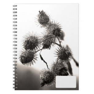 Dried burdock spiral notebook