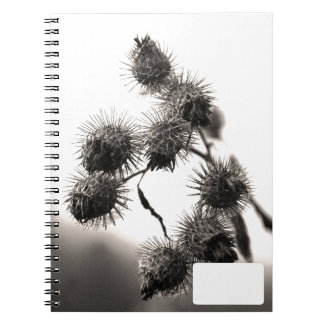 Dried burdock spiral notebook (Front)