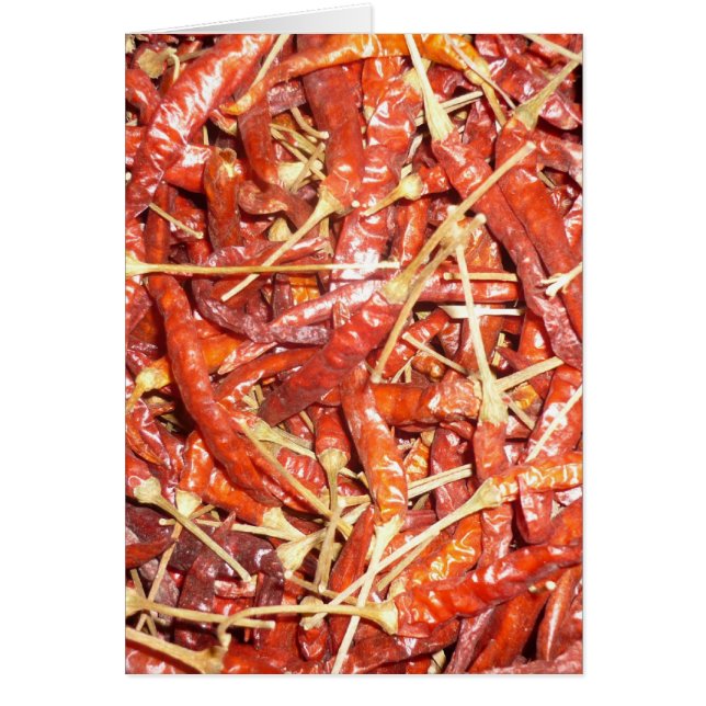 dried chillies vertical (Front)