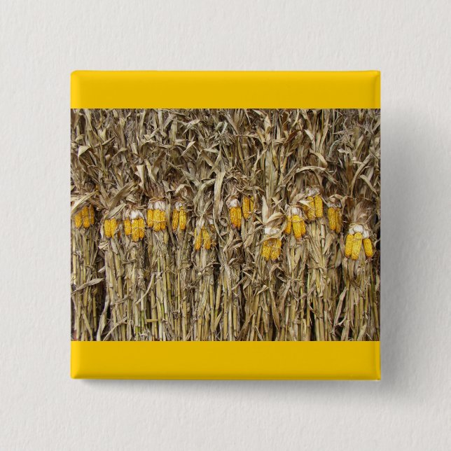 Dried Corn Stalk Decorations 15 Cm Square Badge (Front)