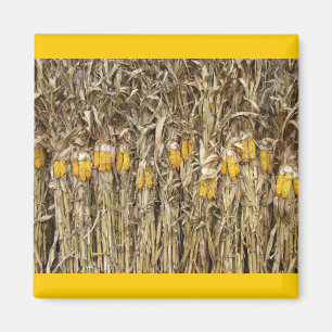Dried Corn Stalk Decorations Magnet