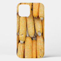 Dried corn that was stacked .