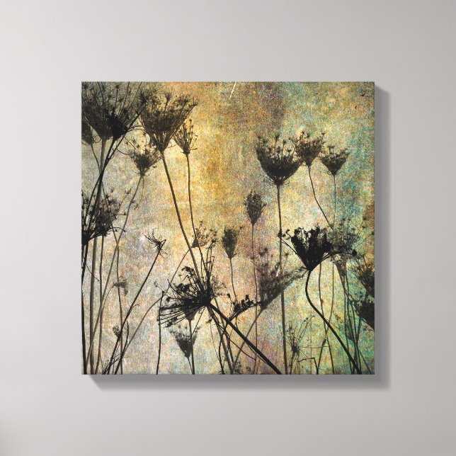 Dried Drama Queens Canvas Print (Front)