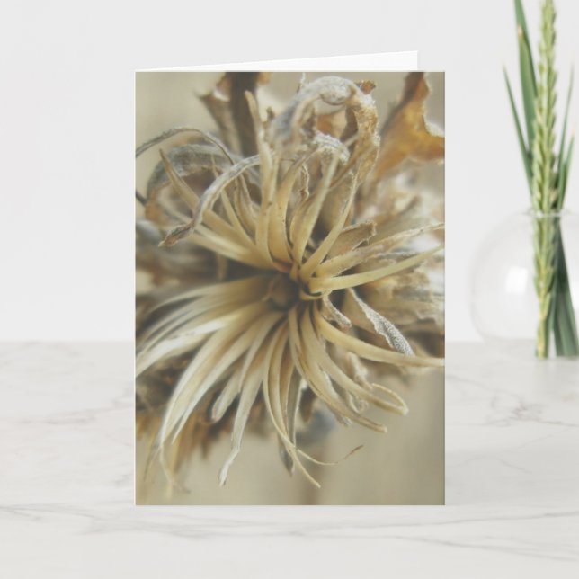 Dried Flower Note Card (Front)
