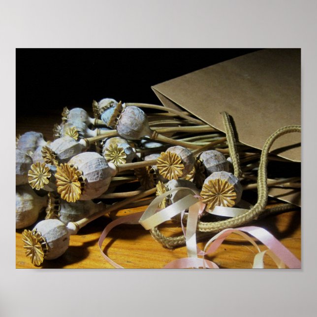 Dried Flower Poppy Pods Poster (Front)