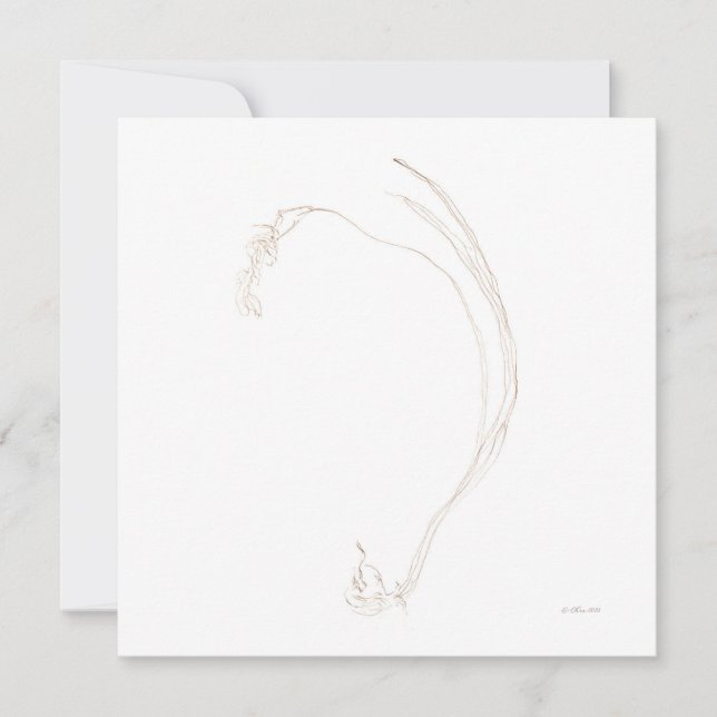 Dried freesia 2  invitation (Front)