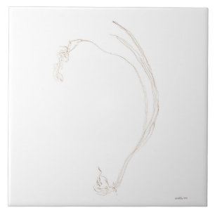 Dried freesia 2 tile
