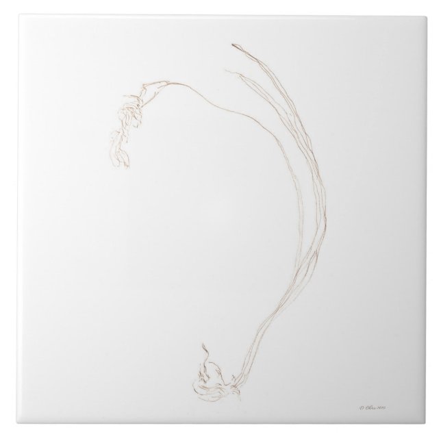 Dried freesia 2  tile (Front)
