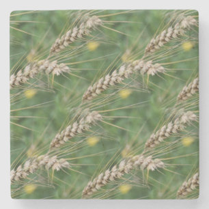 Dried Grasses Nature Art Pattern Stone Coaster