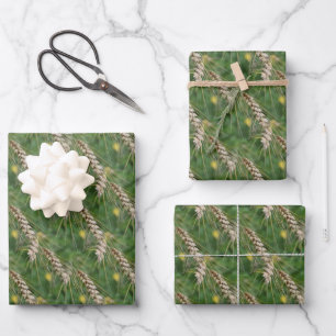 Dried Grasses Nature Pattern  Wrapping Paper Sheet