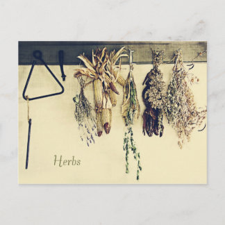 Dried herbs rustic country still life postcard