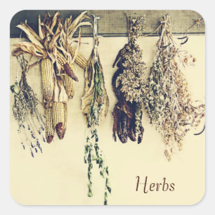 dried herbs rustic country still life square sticker