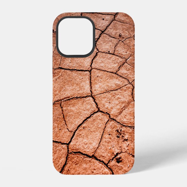 Dried land iPhone case (Back)
