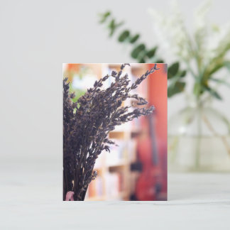 Dried Lavender, Cello & Bookcases in Background Postcard