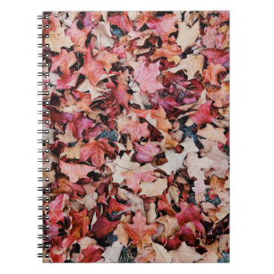 Dried leaves notebook