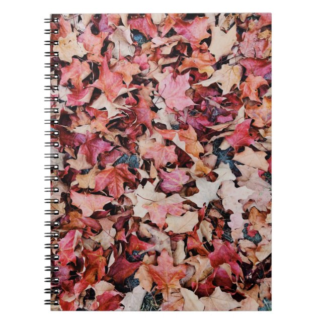 Dried leaves notebook (Front)