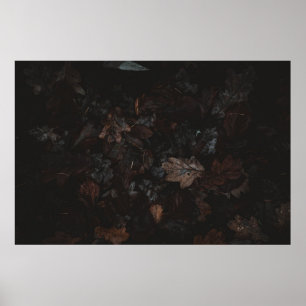 Dried leaves poster